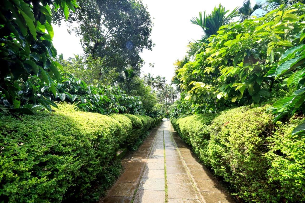 Wayanad Green Park Resort Ambalavayal Exterior foto