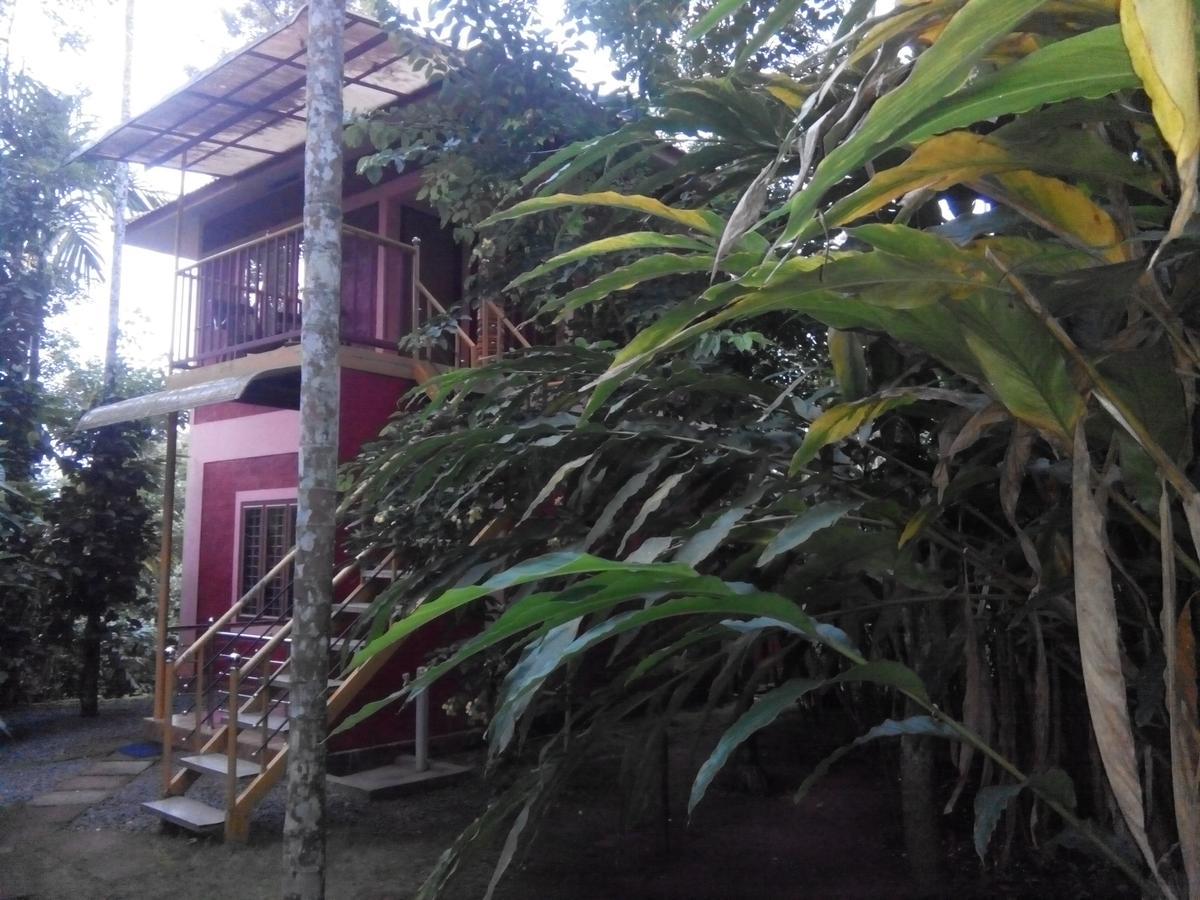 Wayanad Green Park Resort Ambalavayal Exterior foto